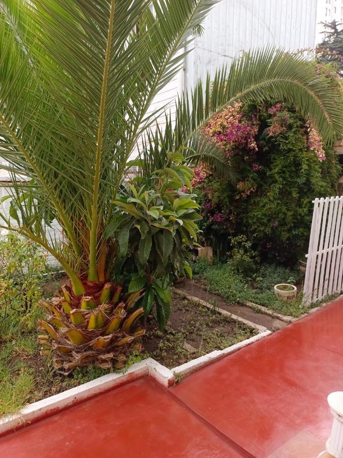 Hotel Paseo Valle Βίνα Ντελ Μαρ Εξωτερικό φωτογραφία